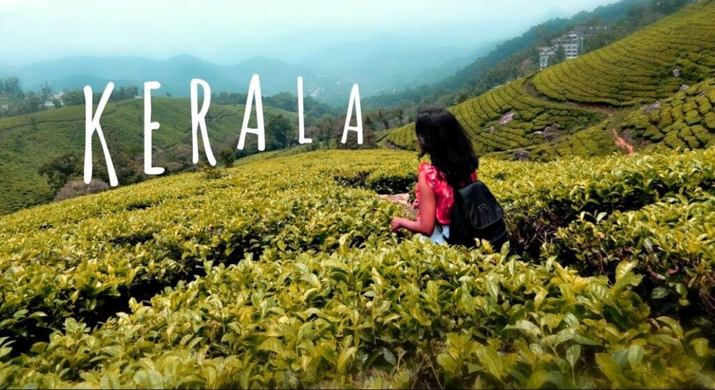 a girl walks through the tea plantation